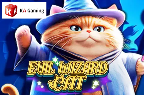 Evil Wizard Cat